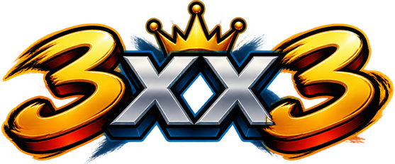 3xx3 লোগো